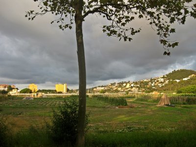 Plà de Pineda