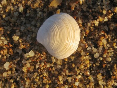 Platja de Santa Susanna