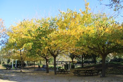 Parc Francesc Macià