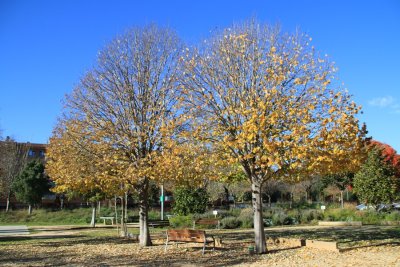 Parc Francesc Macià