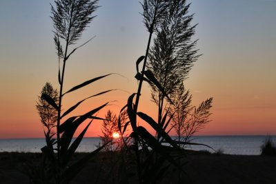 Platja de la Conca