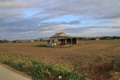 Plà de Grau