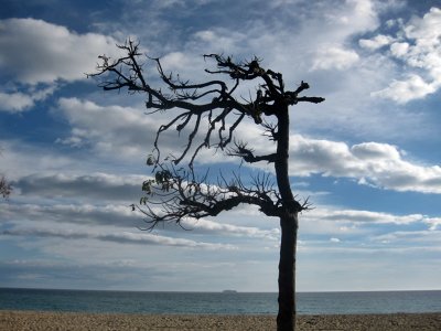 Passeig de Mar