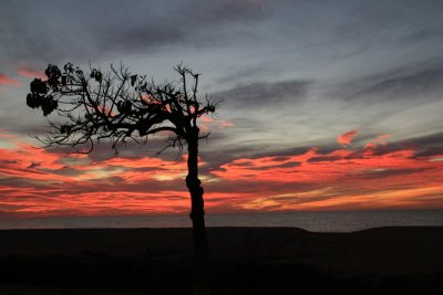 Passeig de Mar