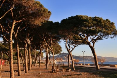 Blanes. Los Pinos