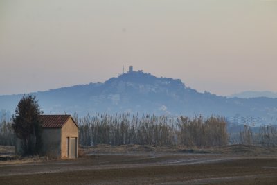 Plà de Grau