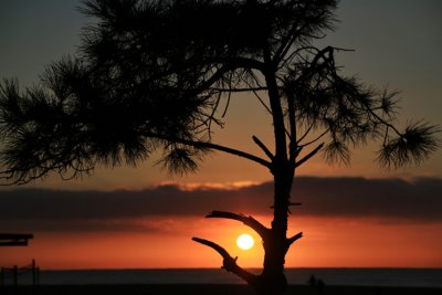 Platja de lAstillero