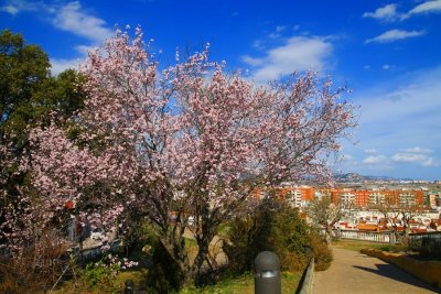 Parc del Castell