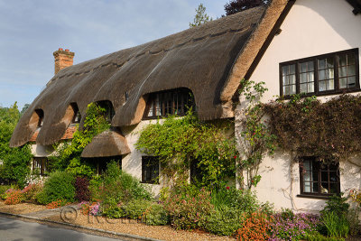 458_Thatched_roof.jpg