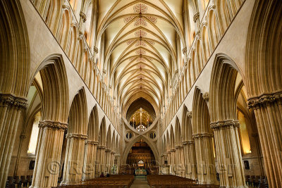 461_Wells_Cathedral_7.jpg