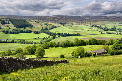 464_Swaledale_2.jpg