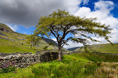 Lake District 1