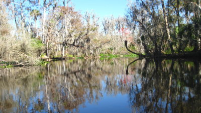 Beautiful reflections