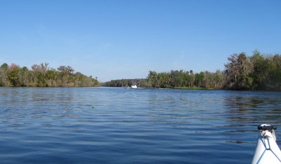 Out on the St. Johns River