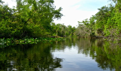 Scenic paddle