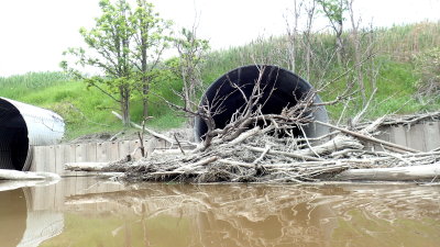 One of the blocked culverts