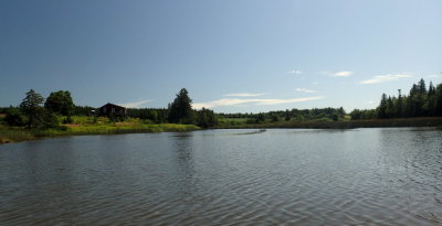 THINK I HEARD BANJOS!