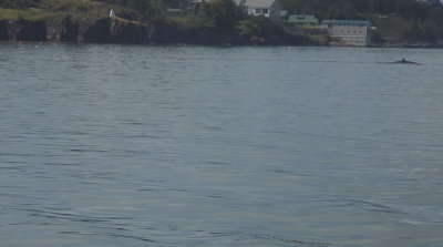 g12/48/1322548/3/169672147.H1Zh63M0.jpg
