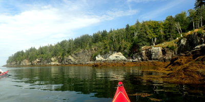 ONE OF THE MANY COVES ALONG THE PADDLE