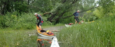 PETRIE ISLAND - OTTAWA, ONTARIO - JUNE 9