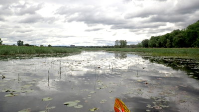 LOOKING TOWARD BRIDGE TO ISLAND