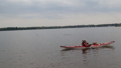 PADDLING WITH THE DUCKS