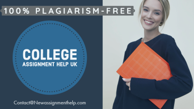 College Assignment Help