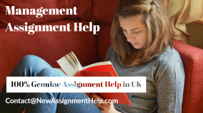 Management Assignment Help