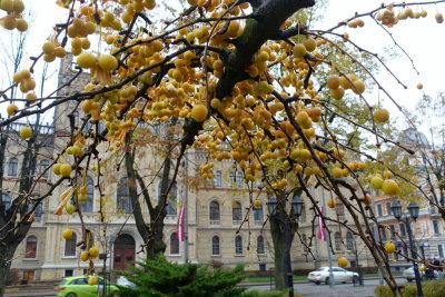 13.11.2019