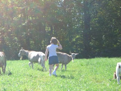 Apple Picking 004.jpg