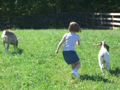 Apple Picking 007.jpg