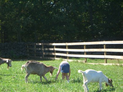 Apple Picking 009.jpg