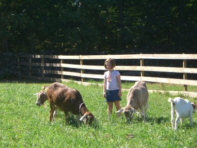 Apple Picking 010.jpg
