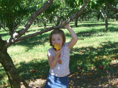 Apple Picking 011.jpg