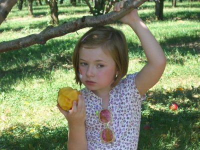 Apple Picking 012.jpg