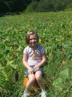 Apple Picking 015.jpg