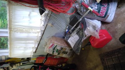 IMG_20220625_105541587.jpg