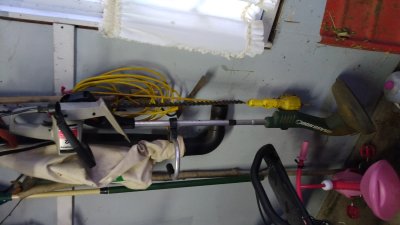 IMG_20220625_105650834.jpg