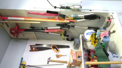 IMG_20220625_114107841.jpg