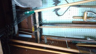 IMG_20220625_131248110.jpg