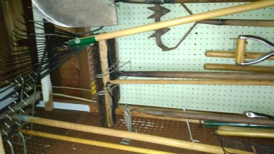 IMG_20220625_131314323.jpg