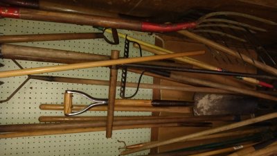 IMG_20220625_131322944.jpg