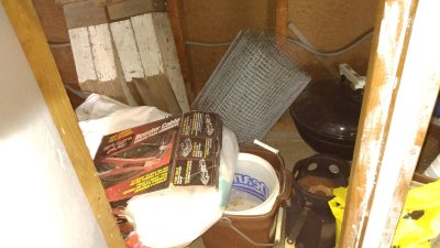 IMG_20220625_132838973.jpg