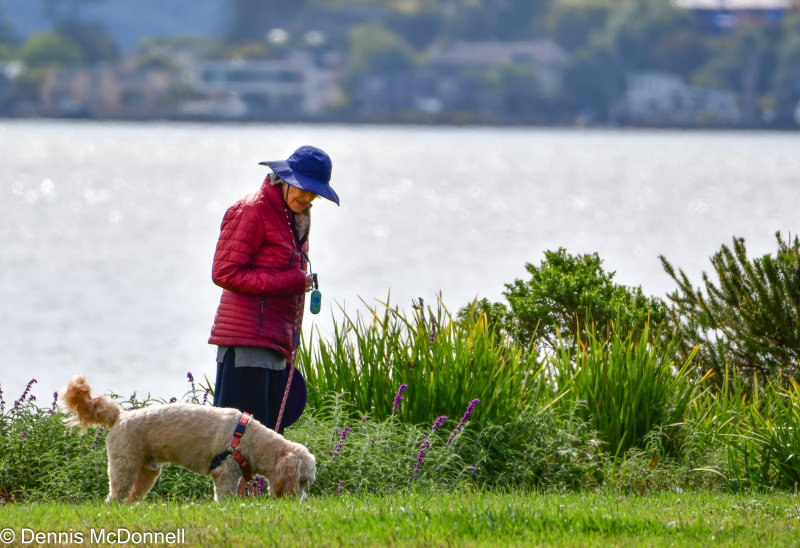 DSC_2880 - Copy.JPG