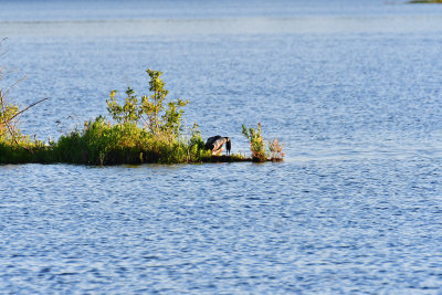 DSC_3835Recovered.jpg
