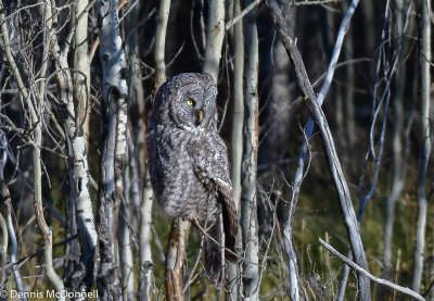 DSC_9041.jpg