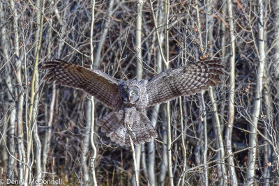 DSC_9089.jpg
