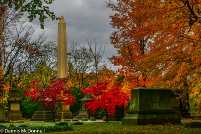 DSC_9594-Edit.JPG