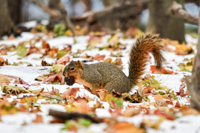 DSC_9928.JPG