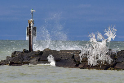 DSC_0774.JPG